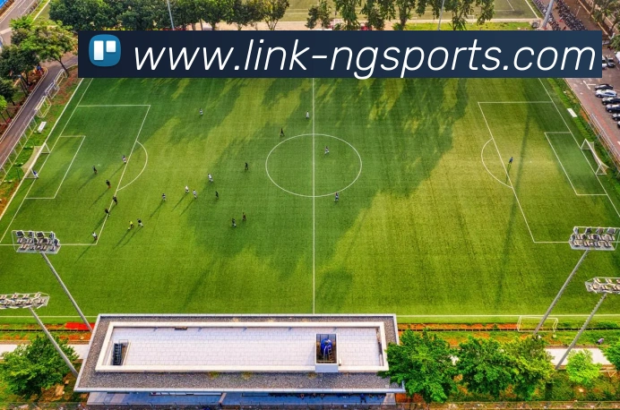 NG体育平台生态图